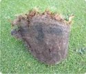 Nawóz do Trawy Wiosenny BarFertile Start Barenbrug 20kg Nawóz do Trawy Wiosenny BarFertile Start Barenbrug 20kg