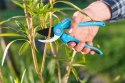 Sekator Ogrodowy Nożycowy IDEAL Cellfast Sekator Ogrodowy Nożycowy IDEAL Cellfast