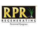 Trawa Uniwersalna Sportowa Barenbrug RPR Lawn Otoczkowana 5kg Trawa Uniwersalna Sportowa Barenbrug RPR Lawn Otoczkowana 5kg