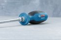 WKRĘTAK PŁASKI SL 5.5*100MM WKRĘTAK PŁASKI SL 5.5*100MM