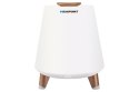 GŁOŚNIK BLUETOOTH Z OŚWIETLENIEM LED BT25LAMP GŁOŚNIK BLUETOOTH Z OŚWIETLENIEM LED BT25LAMP