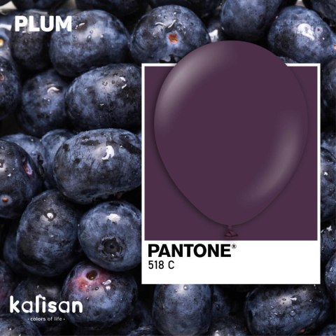 Balony lateksowe Plum, fioletowy 45 cm, 1 szt. Balony lateksowe Plum, fioletowy 45 cm, 1 szt.