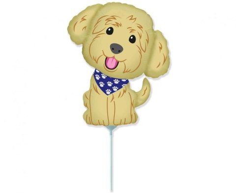 Balon foliowy Piesek, Pies Cobberdog, na patyk 35cm Balon foliowy Piesek, Pies Cobberdog, na patyk 35cm