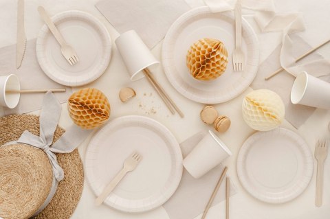 Talerzyki papierowe Okrągłe Beż Desert Sand 23cm 6 szt Talerzyki papierowe Okrągłe Beż Desert Sand 23cm 6 szt