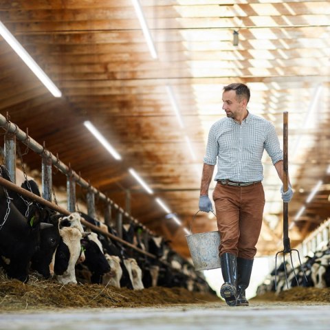 Lampa oprawa LED wodoodporna hermetyczna do magazynu warsztatu IP65 2200 lm 60 cm 20 W Lampa oprawa LED wodoodporna hermetyczna do magazynu warsztatu IP65 2200 lm 60 cm 20 W