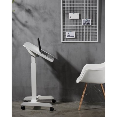 Stolik stojak pod laptopa odchylany regulowany na kółkach 60 x 52 cm 760 - 1130 mm Stolik stojak pod laptopa odchylany regulowany na kółkach 60 x 52 cm 760 - 1130 mm