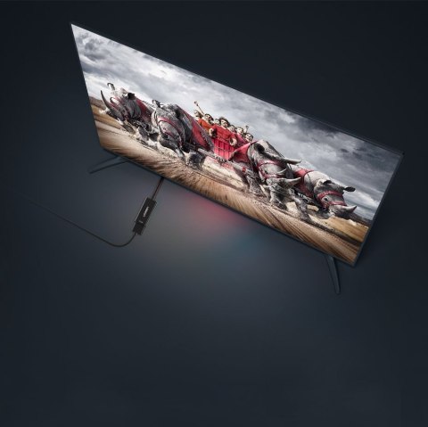 Przejściówka adapter jednokierunkowy z DisplayPort (męski) na HDMI (żeński) 1080P 60Hz 12bit czarny Przejściówka adapter jednokierunkowy z DisplayPort (męski) na HDMI (żeński) 1080P 60Hz 12bit czarny