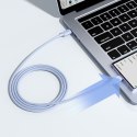Kabel przewód USB-C - USB-C 100W 1.2m niebieski Kabel przewód USB-C - USB-C 100W 1.2m niebieski