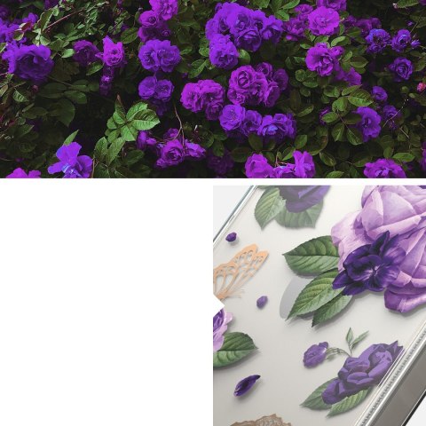 Pancerne etui pokrowiec z żelową ramką iPhone 14 Plus Fusion Design Purple Rose przezroczysty Pancerne etui pokrowiec z żelową ramką iPhone 14 Plus Fusion Design Purple Rose przezroczysty