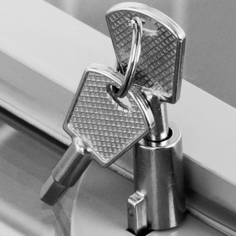 Zamrażarka skrzyniowa przeszklona z zamkiem do mrożonek lodów 280 l 257 W Zamrażarka skrzyniowa przeszklona z zamkiem do mrożonek lodów 280 l 257 W