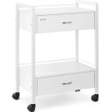 Wózek pomocnik kosmetyczny fryzjerski 2 szuflady 2 półki 62.5 x 40 x 85.5 cm Wózek pomocnik kosmetyczny fryzjerski 2 szuflady 2 półki 62.5 x 40 x 85.5 cm