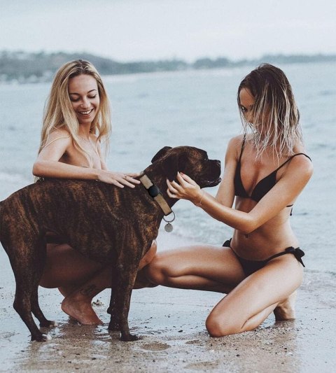 Etui na lokalizator Apple AirTag silikonowe na obrożę psa lub kota - czarne Etui na lokalizator Apple AirTag silikonowe na obrożę psa lub kota - czarne