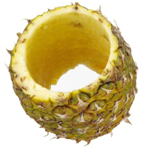 Krajalnica ręczna wykrawacz do ananasa 240x100 mm