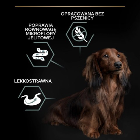 PRO PLAN Sensitive Digestion Small & Mini Adult Indyk 2,5kg