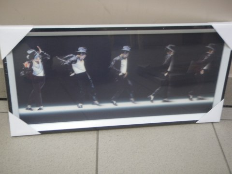 Obraz trójwymiarowy 23x50 MIX 25-625C