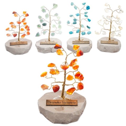 Drzewko szczęścia różne rodzaje "M" z kamykami