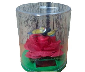 Solar motyl fruwający nad kwiatkiem róża