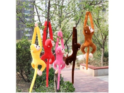 Małpka z dźwiękiem