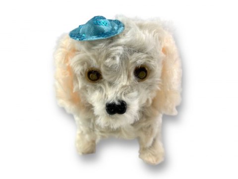 Zabawka piesek w kapeluszu chodzi i szczeka | pchg8174-23