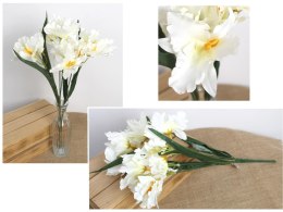 Bukiet 2szt IRYS wys. 50 cm 5 łodyg (kwiat 12 x 6 cm) ŚMIETANOWY MD-024A