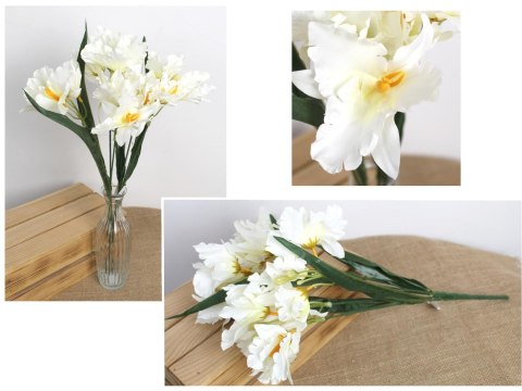 Bukiet 2szt IRYS wys. 50 cm 5 łodyg (kwiat 12 x 6 cm) ŚMIETANOWY MD-024A