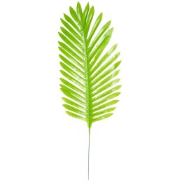 Liść palmy VC9289