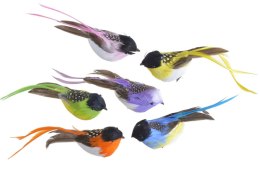 Ptak na klipie 6szt. 173CAN2A044