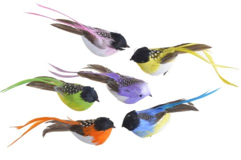 Ptak na klipie 6szt. 173CAN2A044