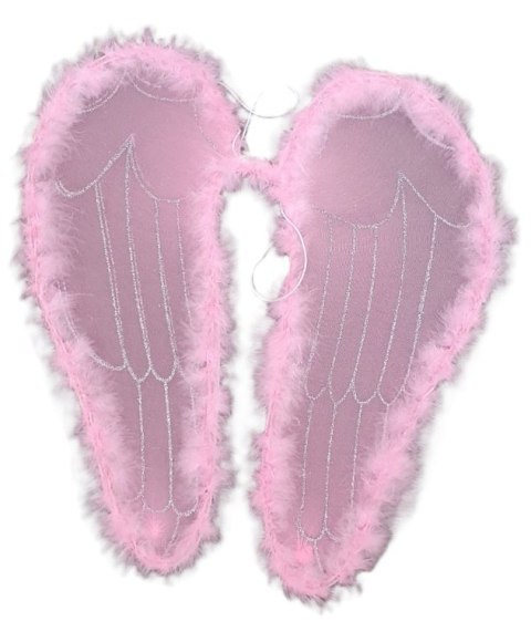 Skrzydła anioła jasny róż 46 x 49 cm
