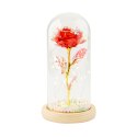 Wieczna róża w szkle 21 x 11cm B-2875