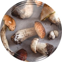 Zakrętka fi 82/6 grzybki 2 - 10szt. 136515