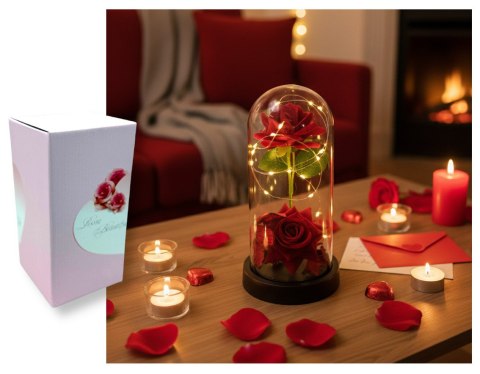 Wieczna RÓŻA LED podwójna czerwona na czarnym podstawku z płatkami 22 x 11 cm VAF-2402