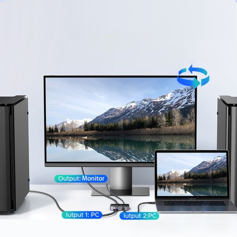 Switch przełącznik DisplayPort USB-C do USB-C - szary