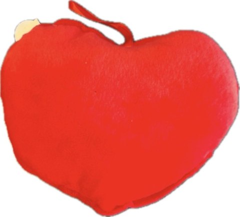 Poduszka serce pluszowe " Dzisiaj NIE Kochanie"