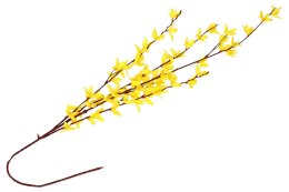 Gałązka forsycja 4 gałązki