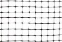 Siatka na krety P45 Tenax Aviary 2mx200mb 13x10mm