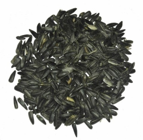 Słonecznik czarny 1 kg