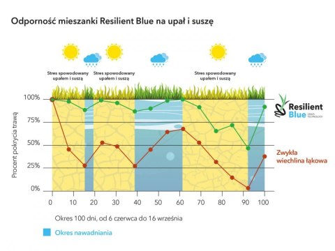 Trawa Na Ekstremalne Warunki Barenbrug Resilient Blue Lawn 15kg