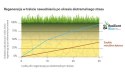 Trawa Na Ekstremalne Warunki Barenbrug Resilient Blue Lawn Otoczkowana 1kg