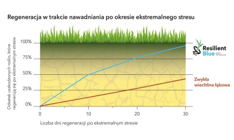Trawa Na Ekstremalne Warunki Barenbrug Resilient Blue Lawn Otoczkowana 5kg