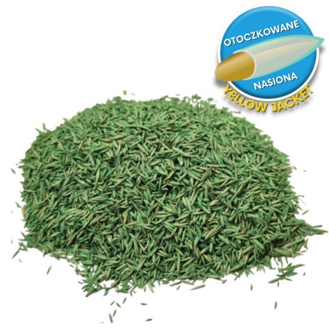 Trawa Odporna Na Suszę Barenbrug Water Saver Otoczkowana 1kg