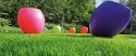 Trawa Regeneracyjna Barenbrug SOS Lawn Repair Otoczkowana 1kg