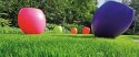 Trawa Regeneracyjna Barenbrug SOS Lawn Repair Otoczkowana 5kg