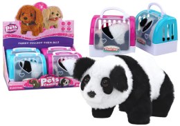 Panda Interaktywna Pluszowa W Transporterze Różowy Niebieski