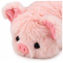 Mała Pluszowa Świnka Przytulanka Maskotka Zwierzątko Różowa 16 cm